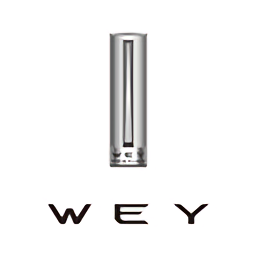 WEY智享互联魏