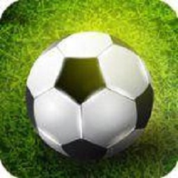 足球模拟射门3d最新版本(Football Strike Simulation 3D)