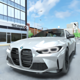 宝马汽车模拟器手机版(BMW Car Simulator)