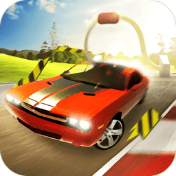 弹弓特技车手(Slingshot Stunt Driver)